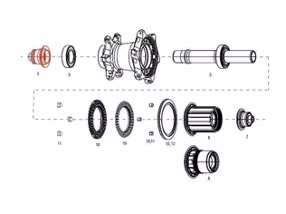 zipp end cap nds rear cognition nsw qr