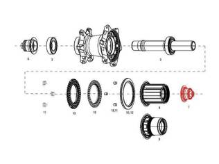 zipp end cap ds rear cognition nsw qr sr