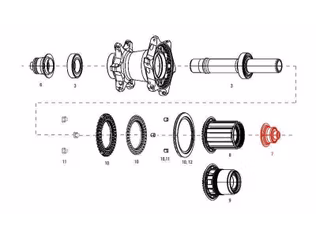 zipp end cap ds rear cognition nsw qr xd/cp