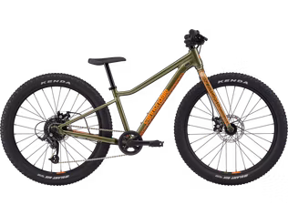 Bicicleta copii Cannondale Trail Plus 24 Mantis